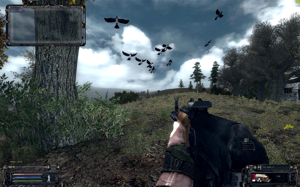 Из раздела картинки