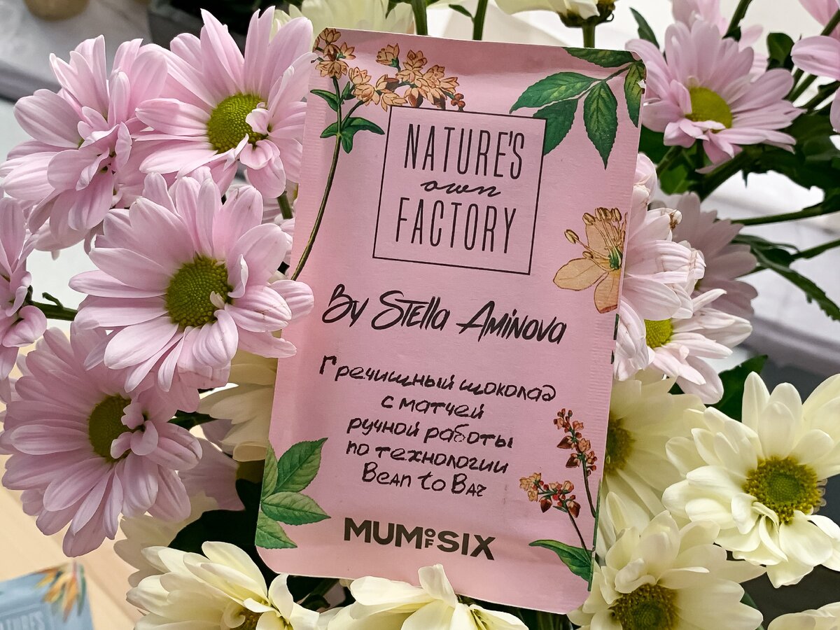 Гречишный шоколад Natures Own Factory  с матчей