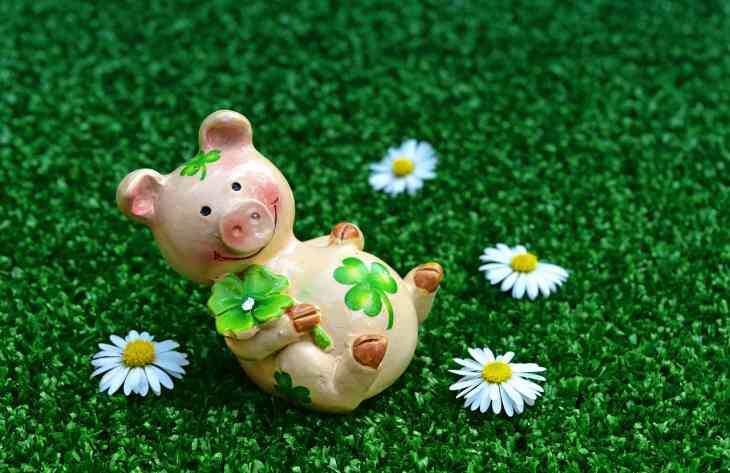 Фото из открытых источников сети интернет 