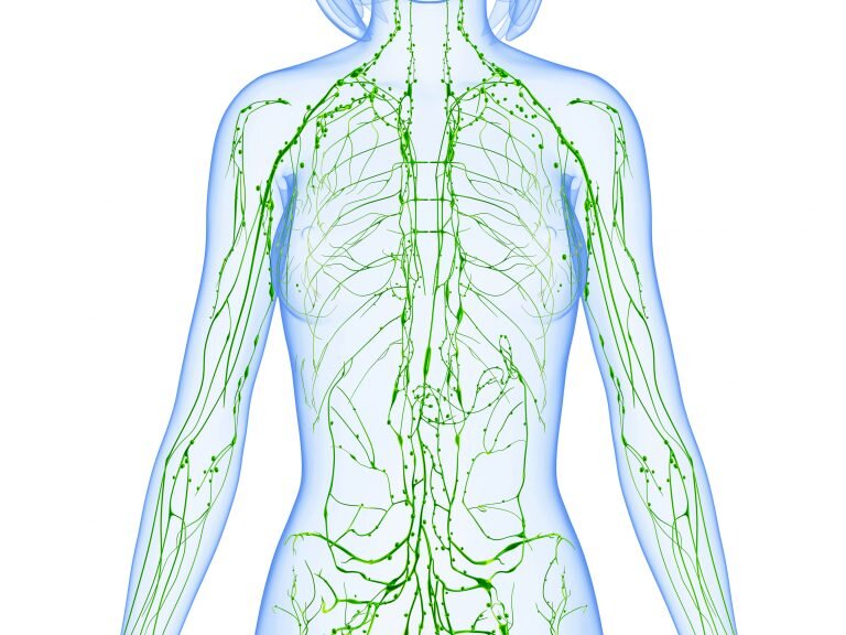 Источник изображения: Яндекс.Картинки