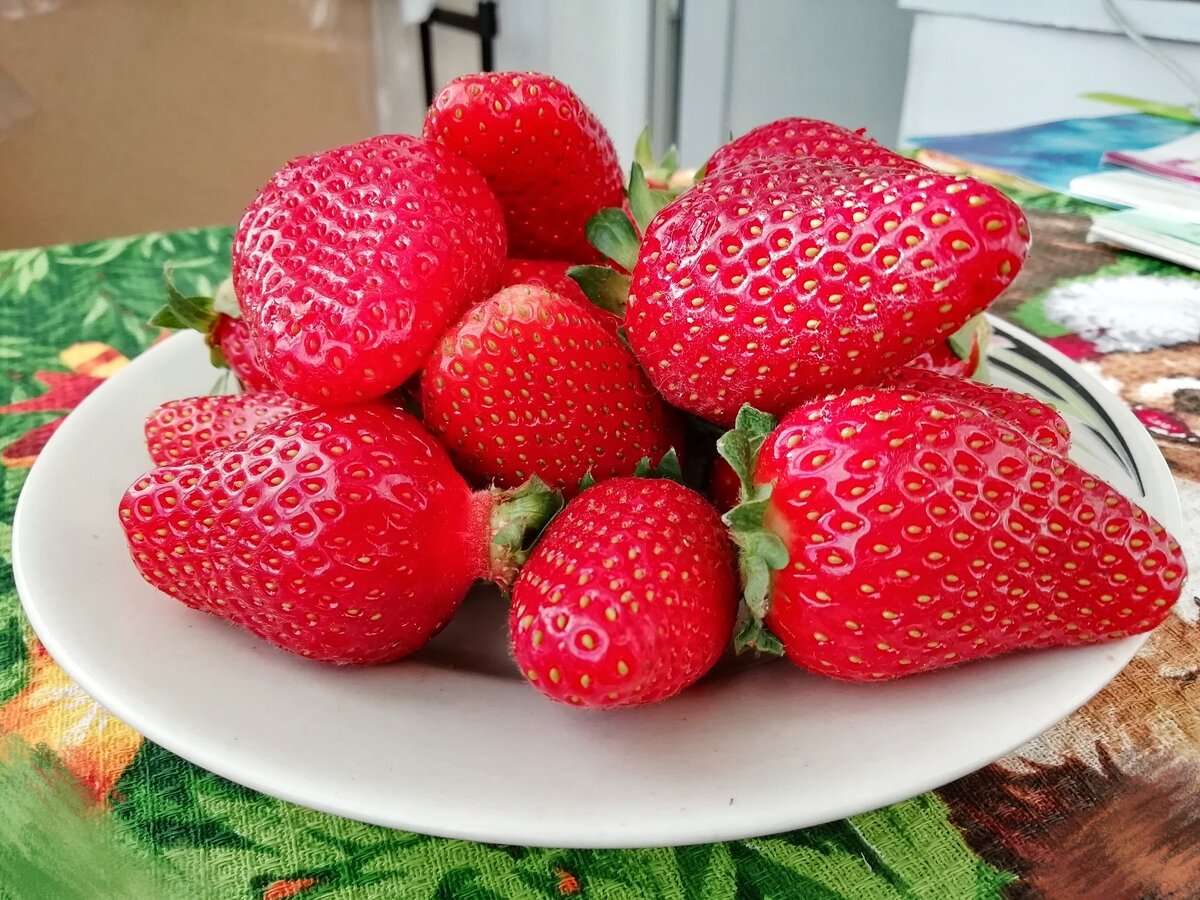 Собранные плоды клубники. Архив 2019 г.