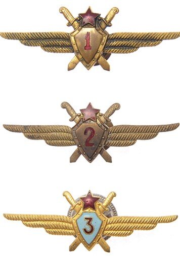 Классность размещение. Классность офицерская ввс. Классность размещение. Значок классности машиниста. Классность размещение.