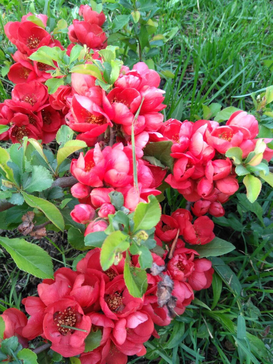 Фото автора.