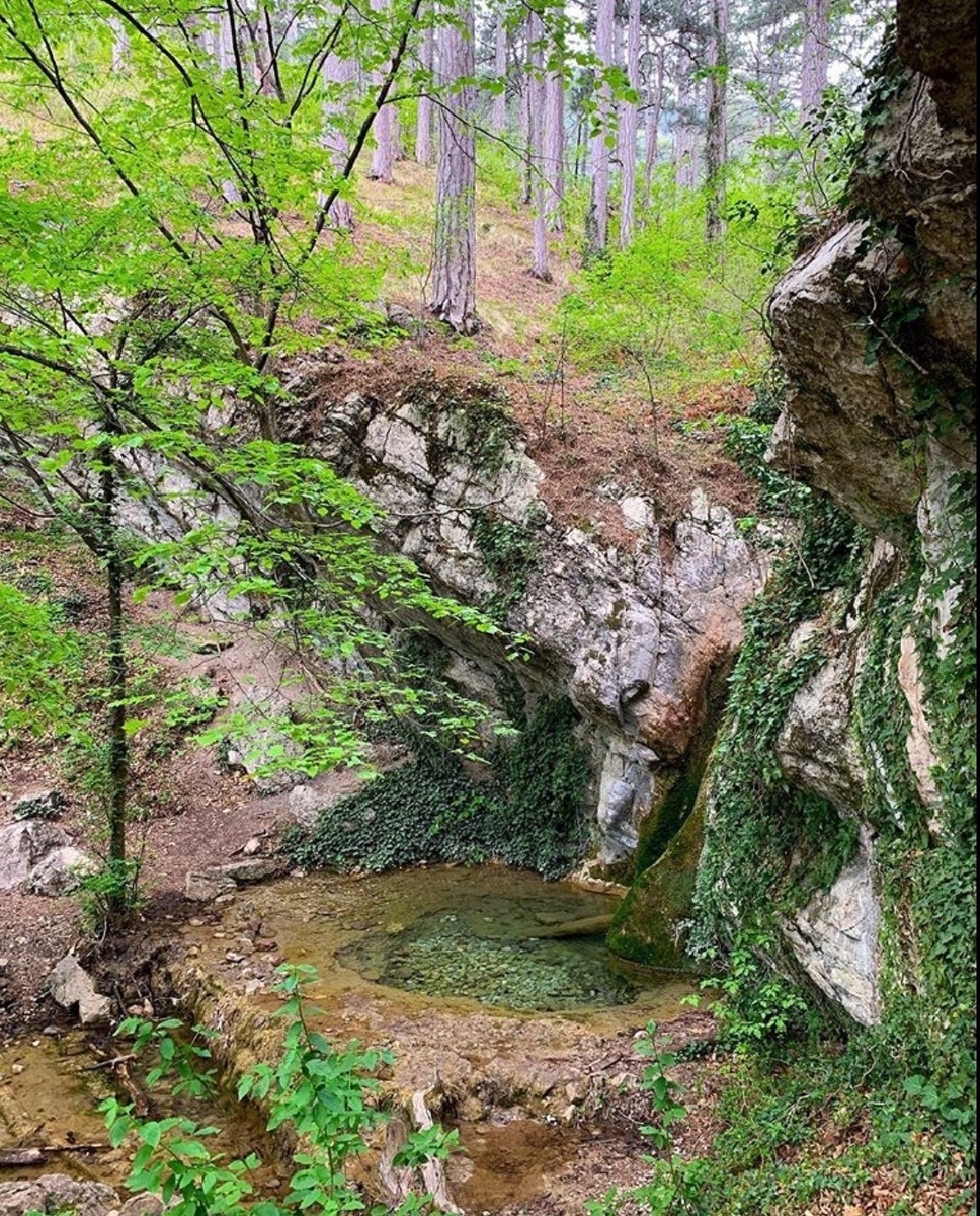 Купель Дианы