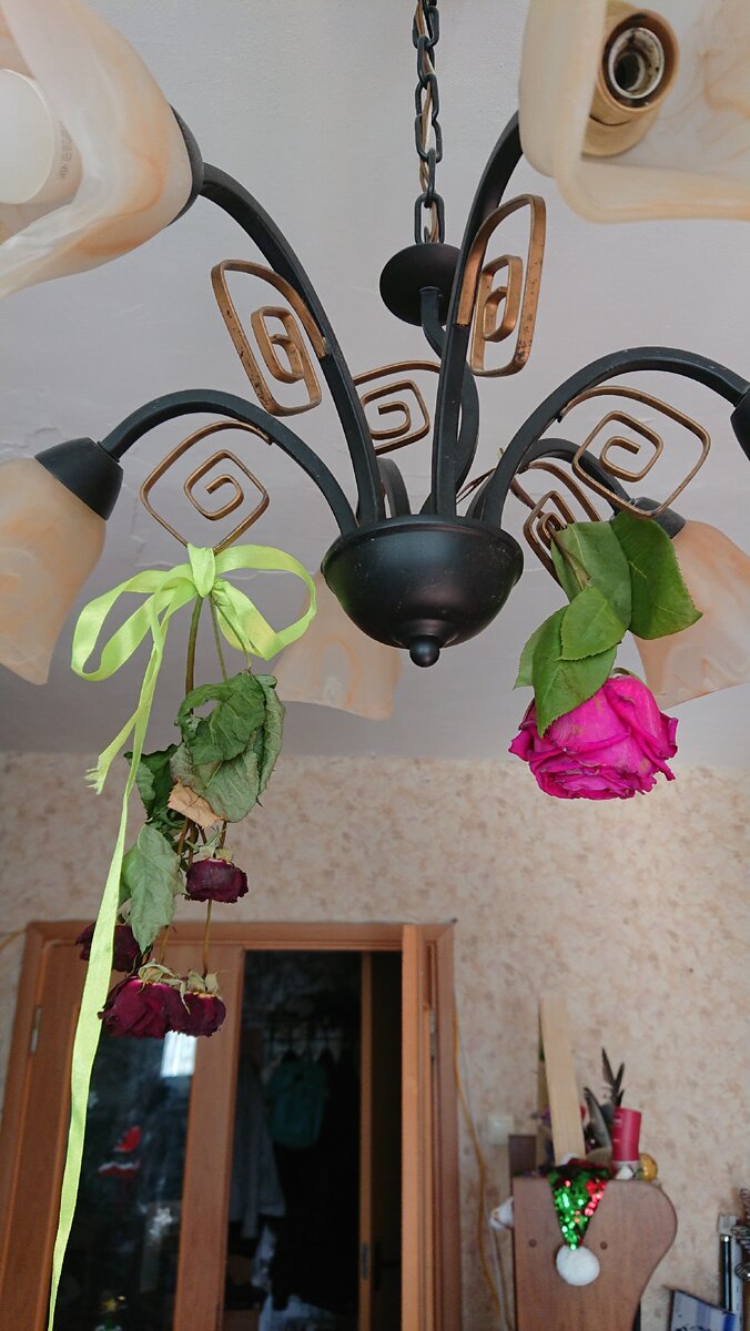 У кого то на люстре красные трусы,а у меня розы.