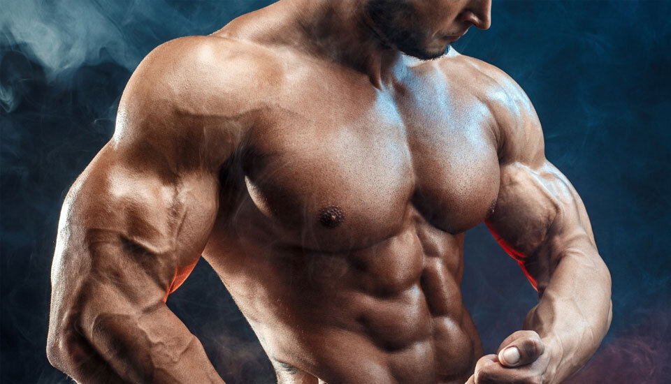 Гиперплазия мышц: как увеличить массу тела в теории?