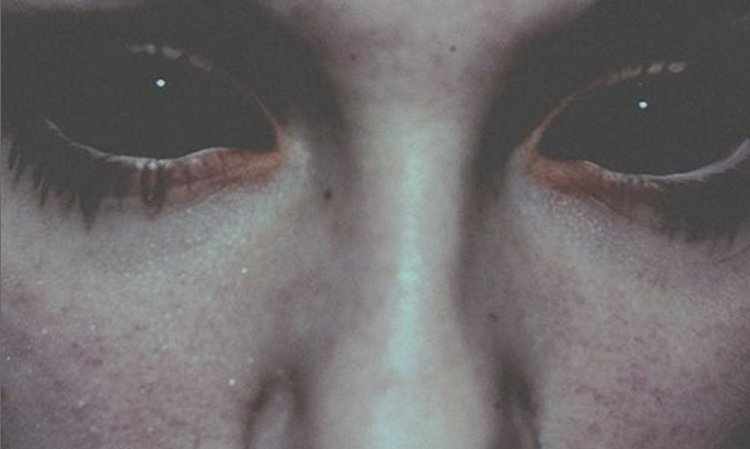 фото : https://pixabay.com