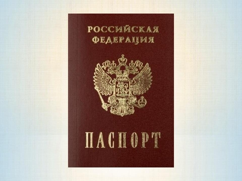 Фото из открытого источника Яндекс Картинки