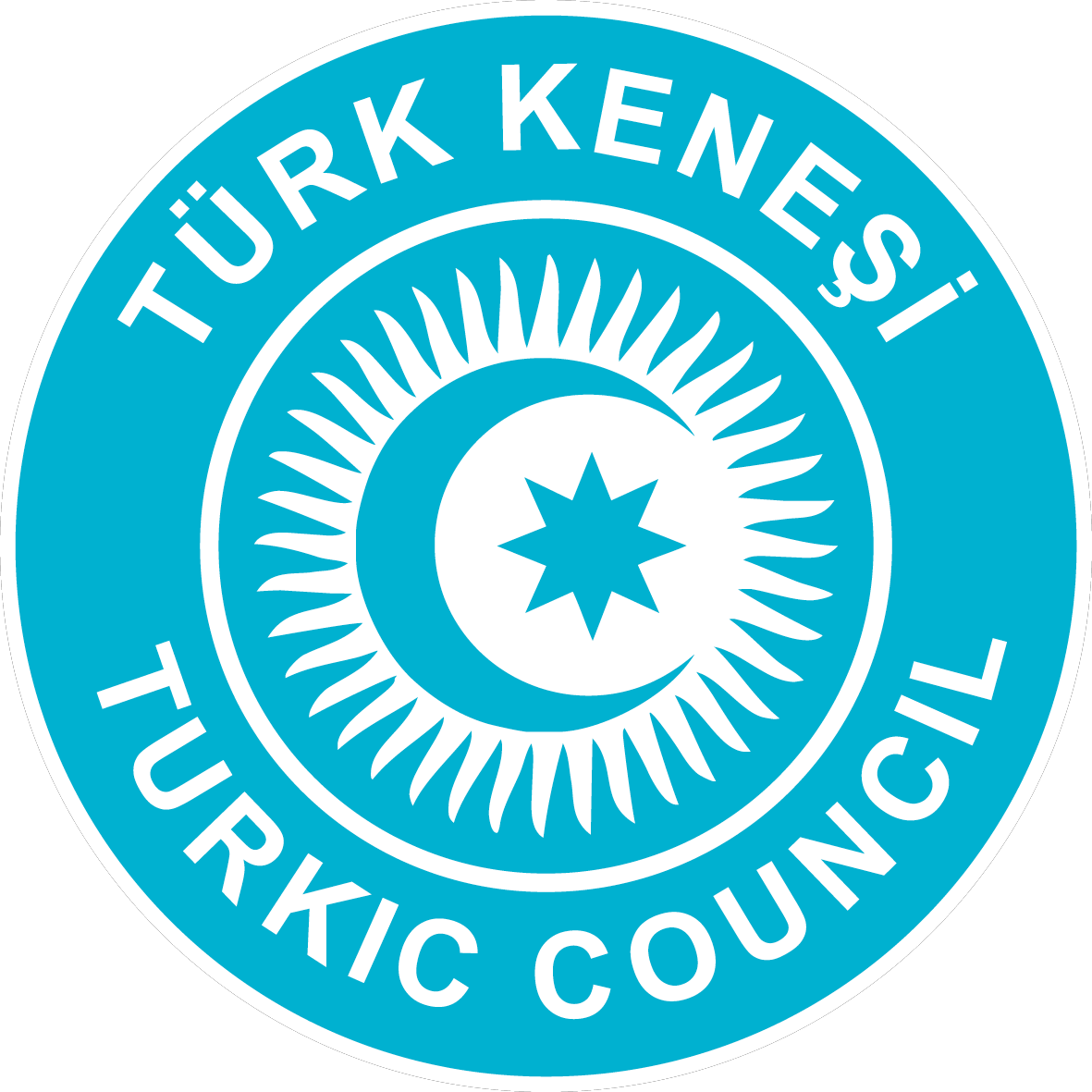 Логотип "Тюркского Совета"