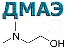 ДМАЭ польза для организма