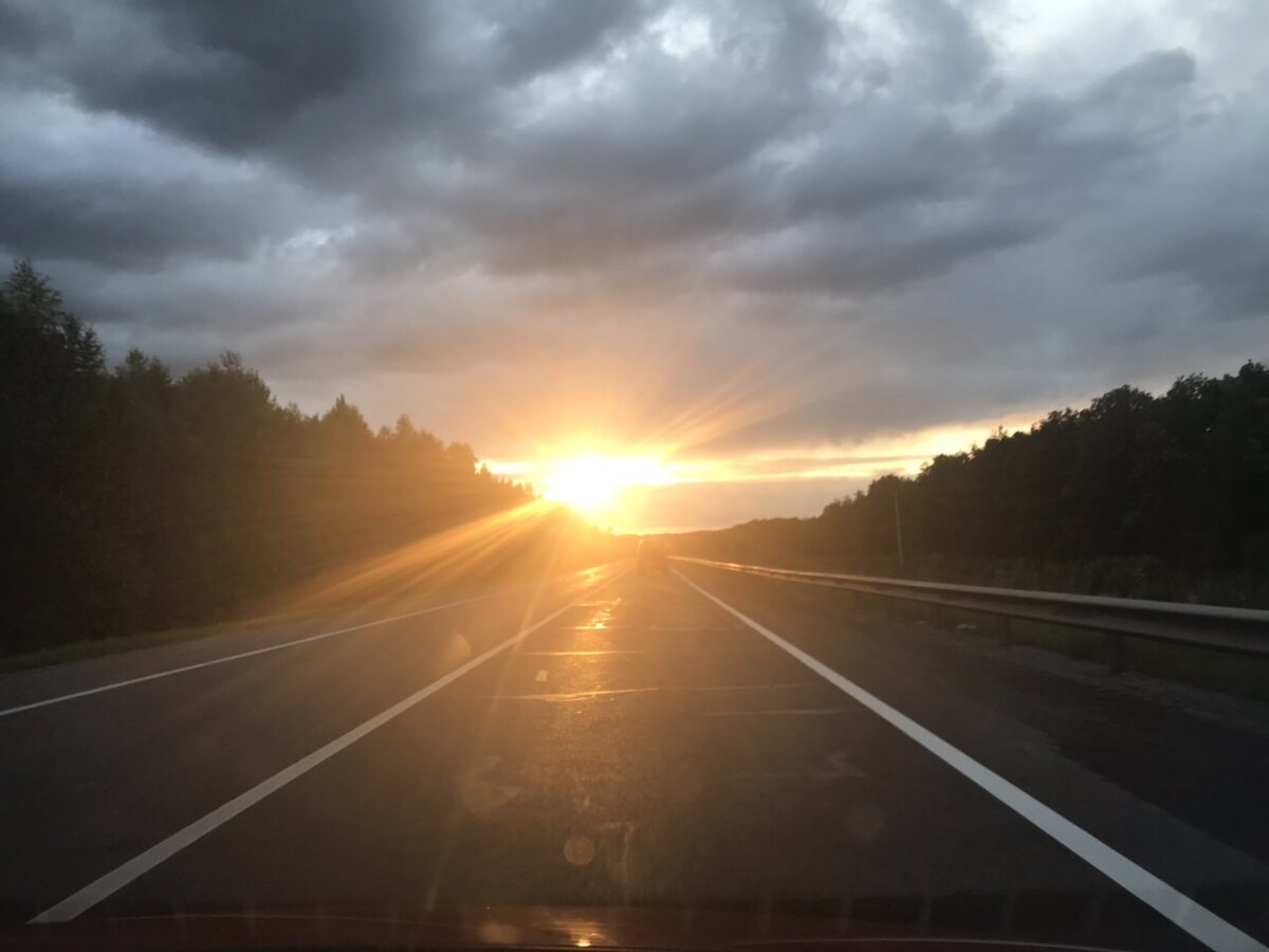 Дорога на юг