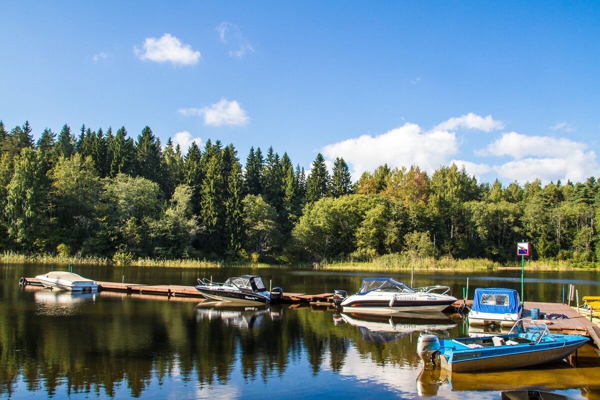 пансионат сокол озеро селигер. турбаза сокол на селигере. осташков пансионат сокол. пансионат сокол озеро селигер. пансионат сокол озеро селигер.