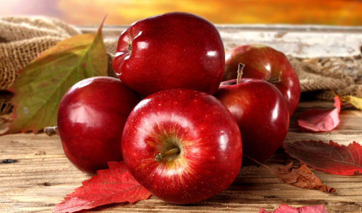 Источник  https://yandex.ru/images 