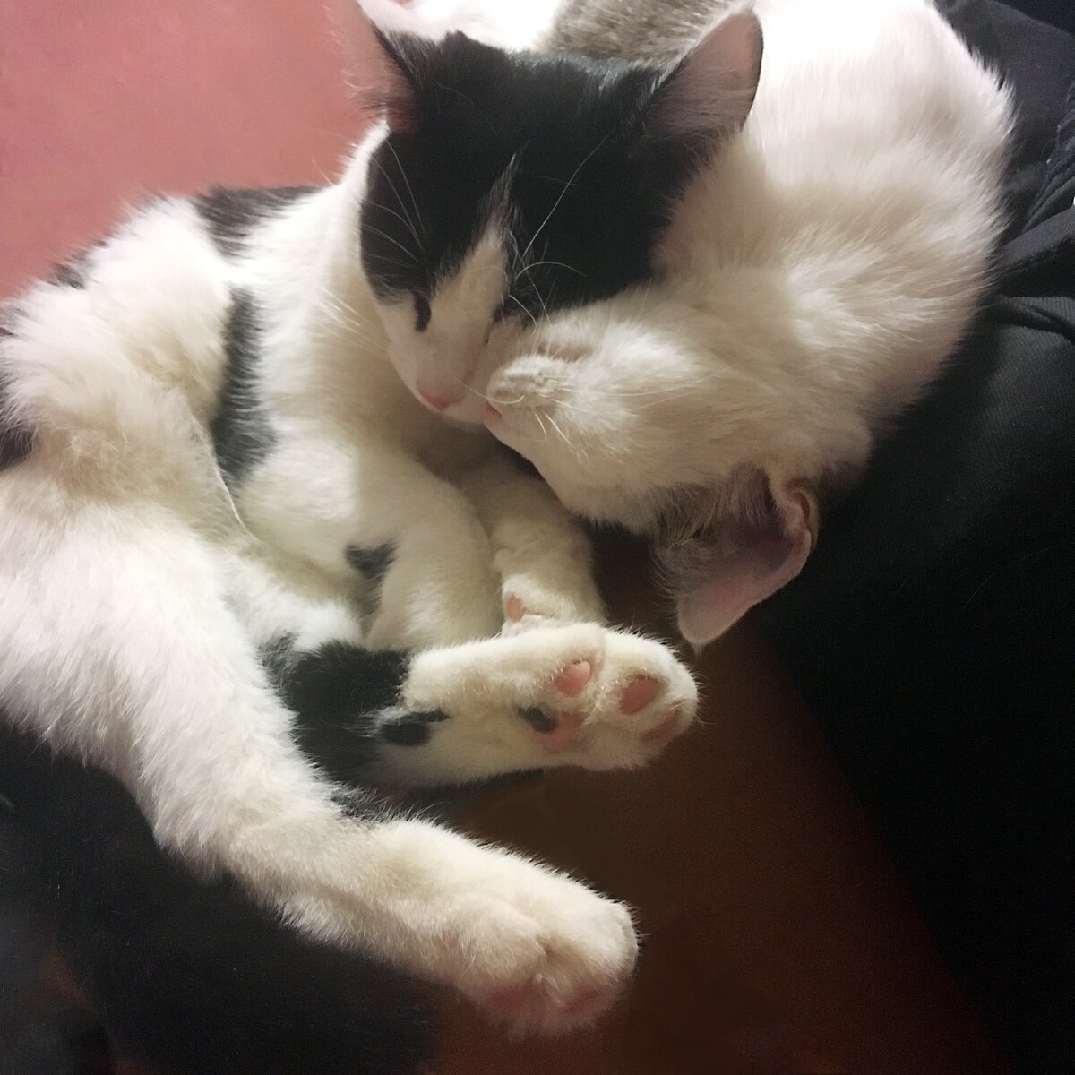 К сожалению фото самого домика не сохранились. Он пробыл у нас всего неделю...