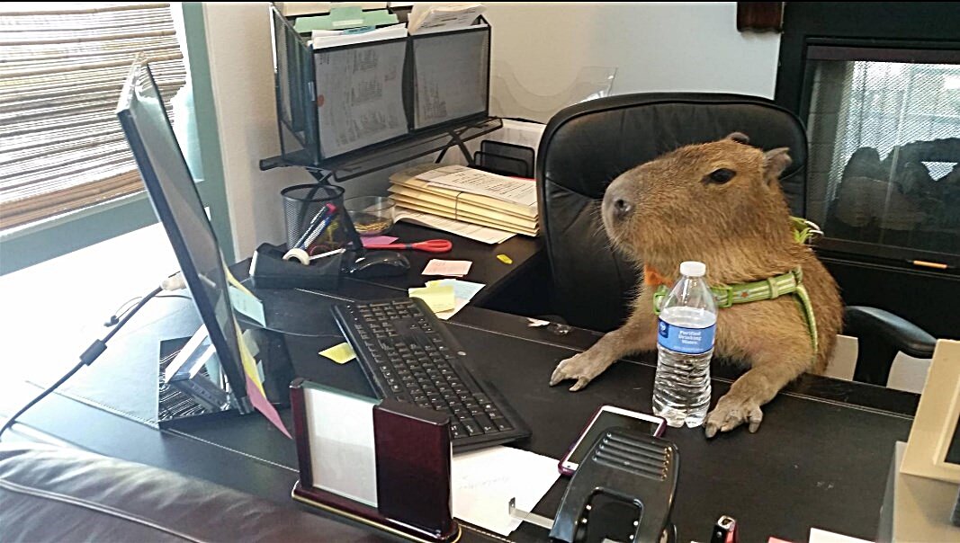 Источник: Яндекс - картинки