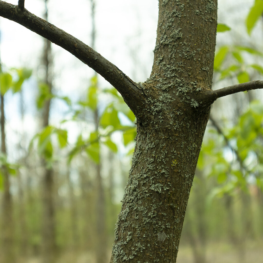 Фото Михаила Анатольевича Минина