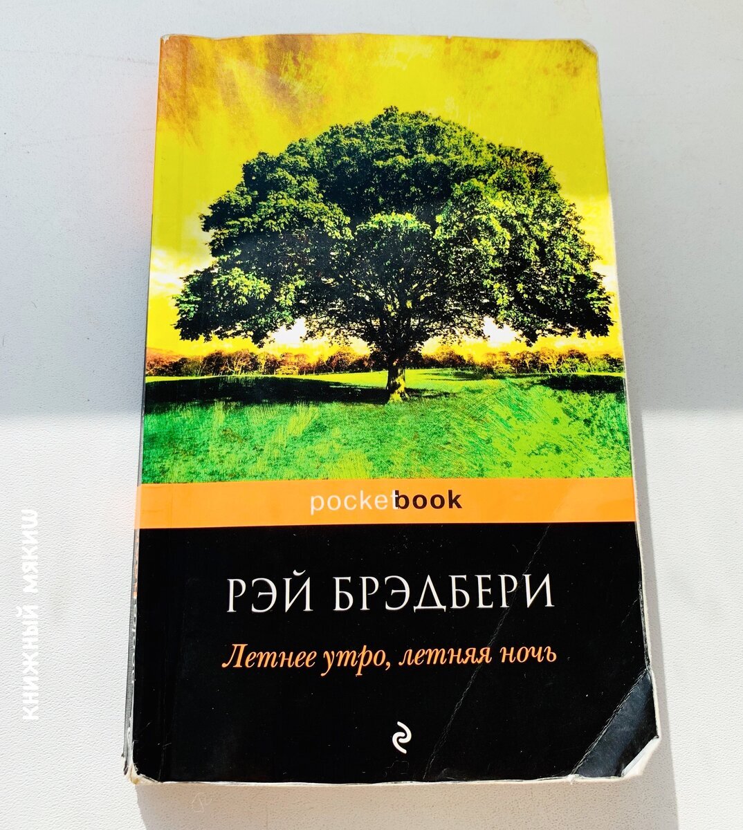 Ей 95, ему 31... Самые яркие истории любви из книг Брэдбери | Книжный мякиш  | Дзен