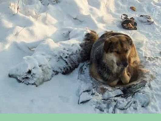 холодная Якутская зима