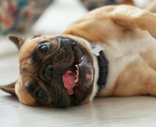 Потеря аппетита и веса