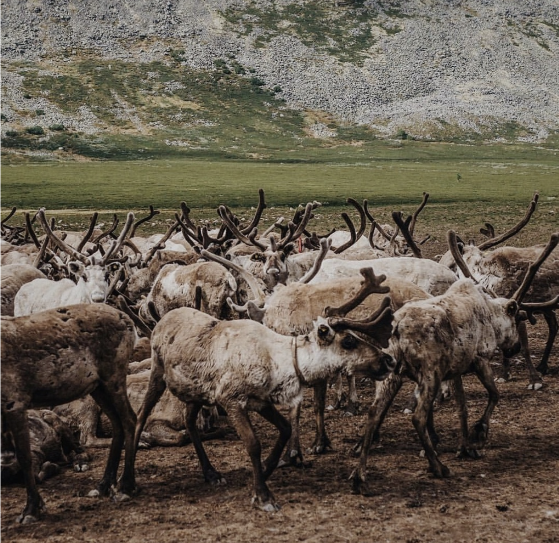 Фото: @pollirusakova, instagram.com*