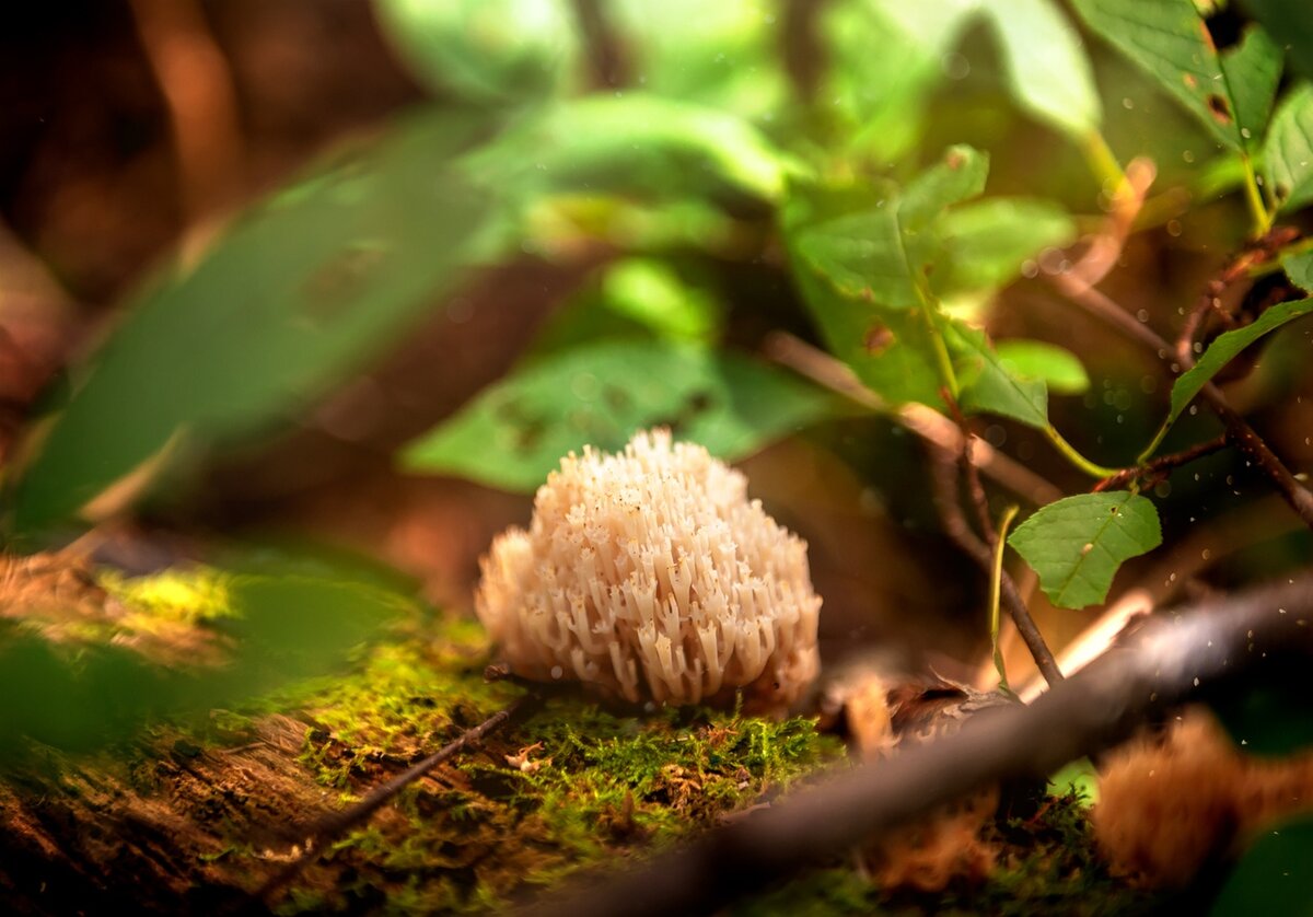 Фото Юлия Дудова