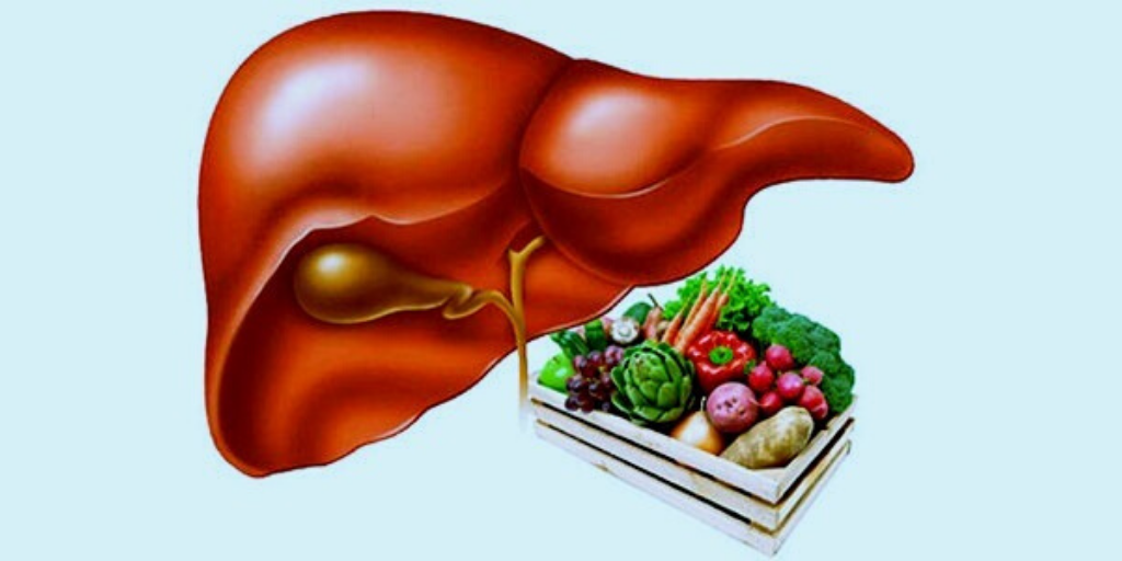 Печень картинка для детей