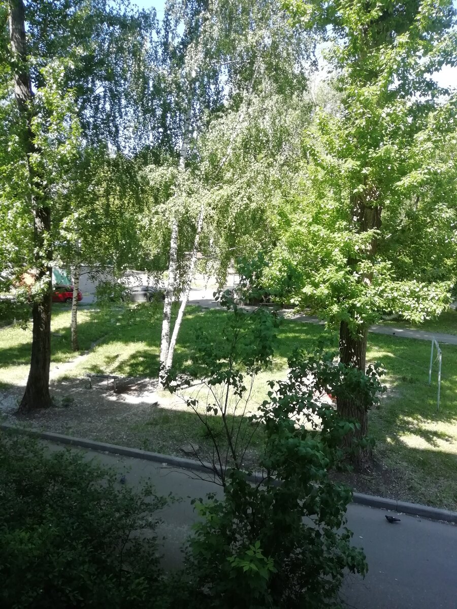 Лето, ах, лето!!!