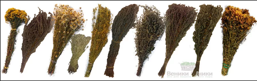 Травы для бани в пучках от «ВеникиБеники»