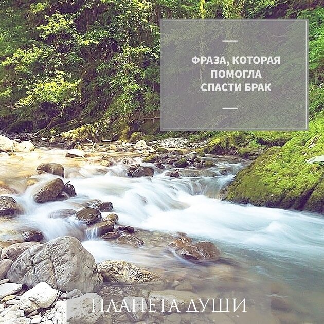 Фраза спасшая брак 