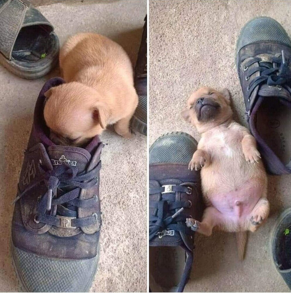 Все фотографии взяты из открытого источника