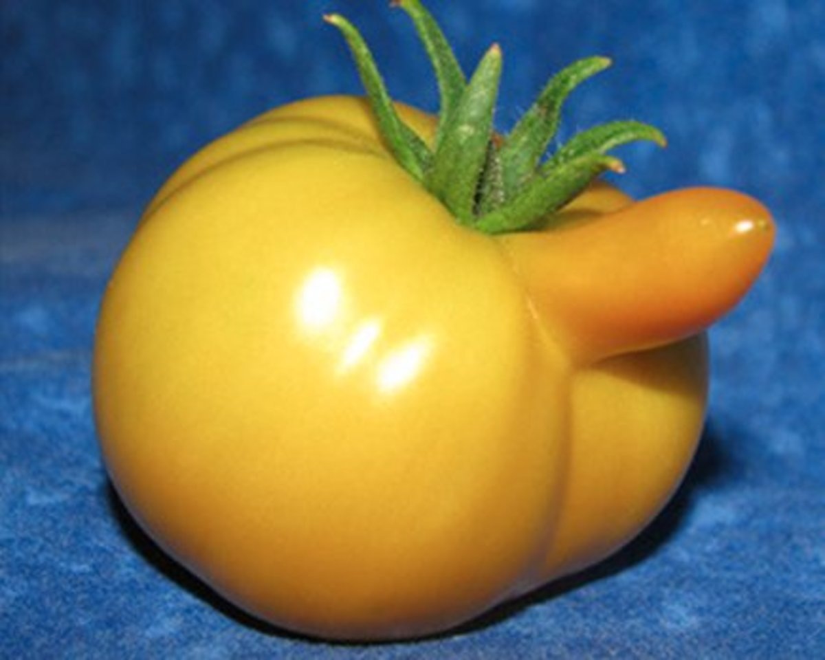 Простые и дельные советы улучшающие сексуальную жизнь. 