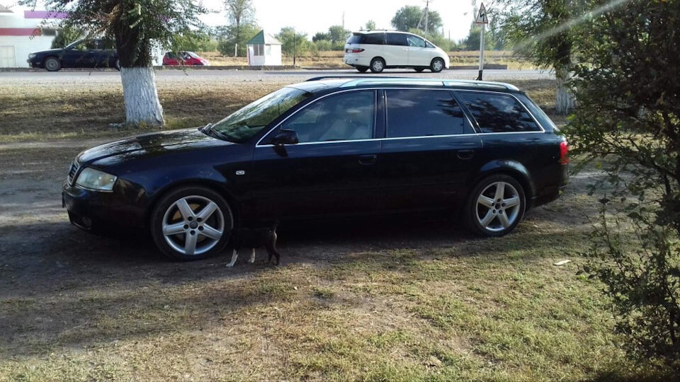 Фото взято из открытых источников