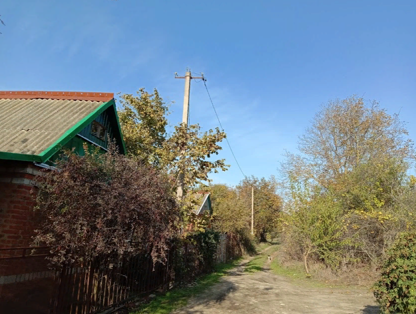 Вчера позвонила соседка. Позвала забрать просроченные булочки. Работает продавцом в хлебном отделе. Элька и Арчи побежали за мной. По дороге за нами увязался недавно появившийся щенок. 