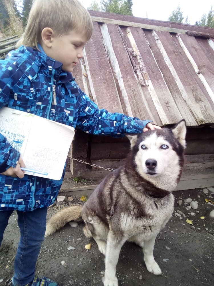 Собачек можно трогать не всех. Кого именно можно погладить -говорит экскурсовод. Некоторые собаки не дадут даже к себе подойти.