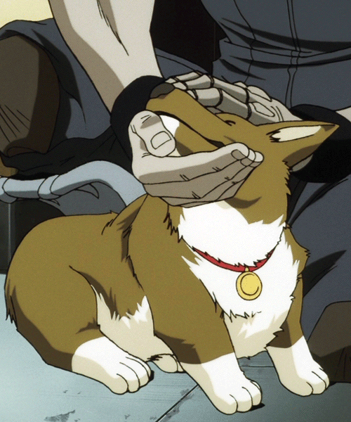 Эйна гладят, ведь он хороший мальчик.