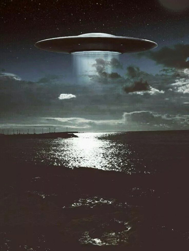 Фото из свободного источника