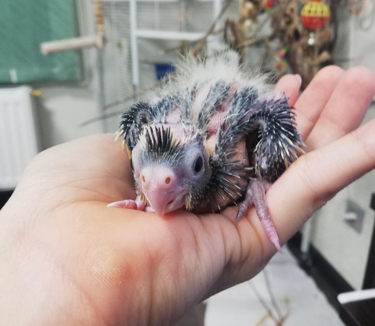 Вечер 24 октября. Первый, 12 дней. Все фото автора.