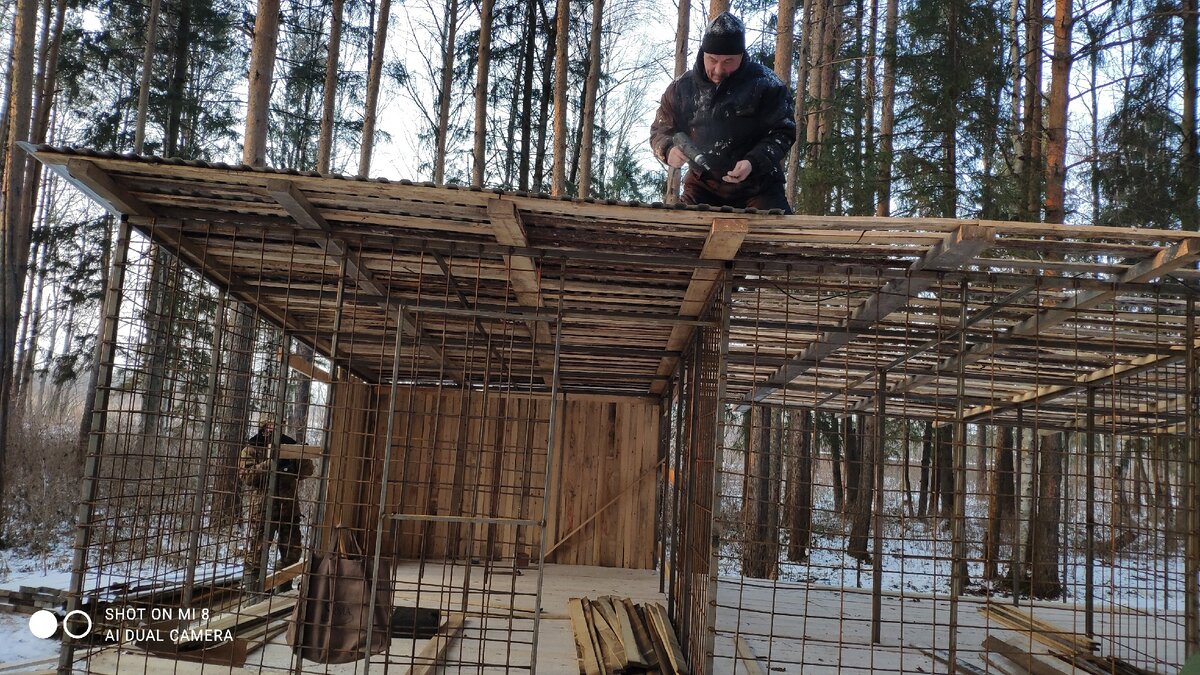 Помощь пришла неожиданно, но очень вовремя.
