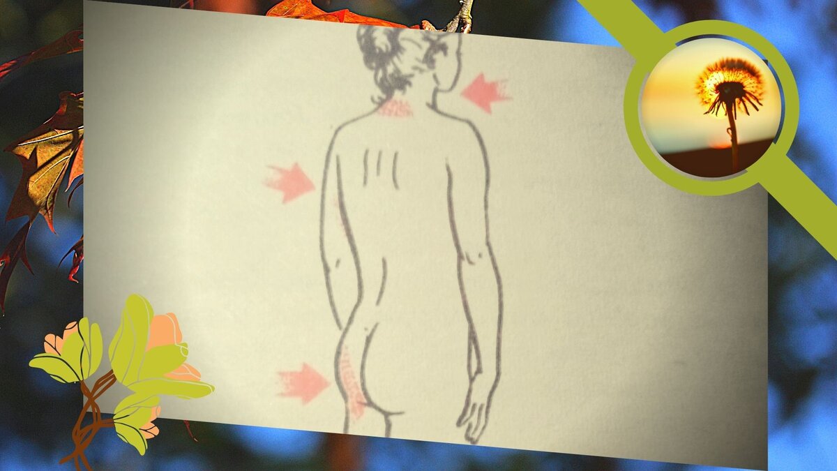 подписывайтесь на мой канал