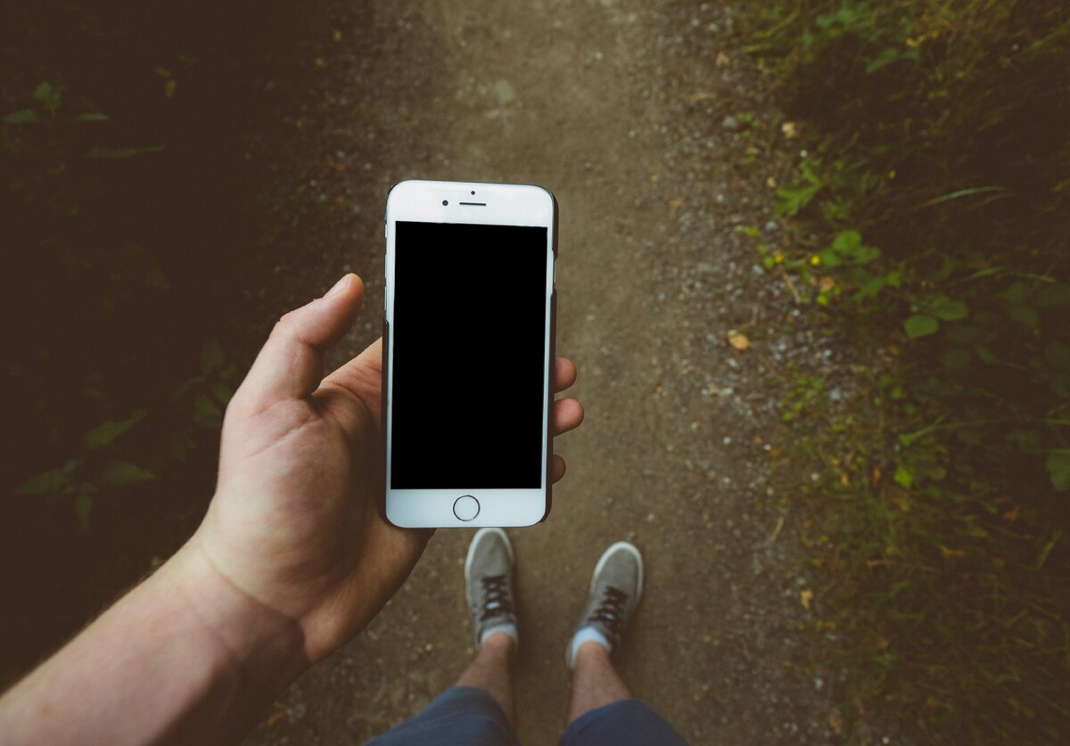 Источник: https://unsplash.com/photos/Y602iPcTq28