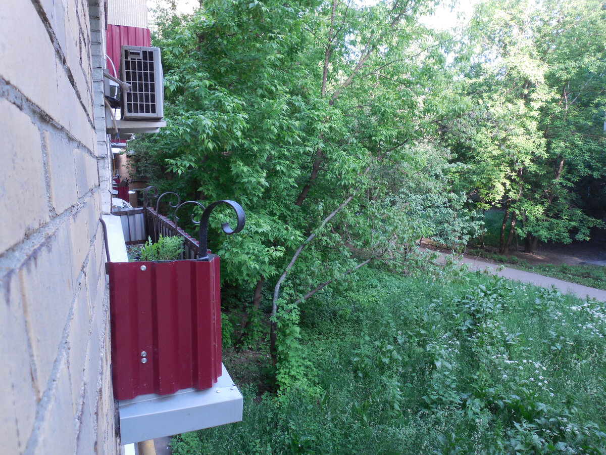 Теперь у нас так. Я высунулась из другого окна, чтобы сфотографировать