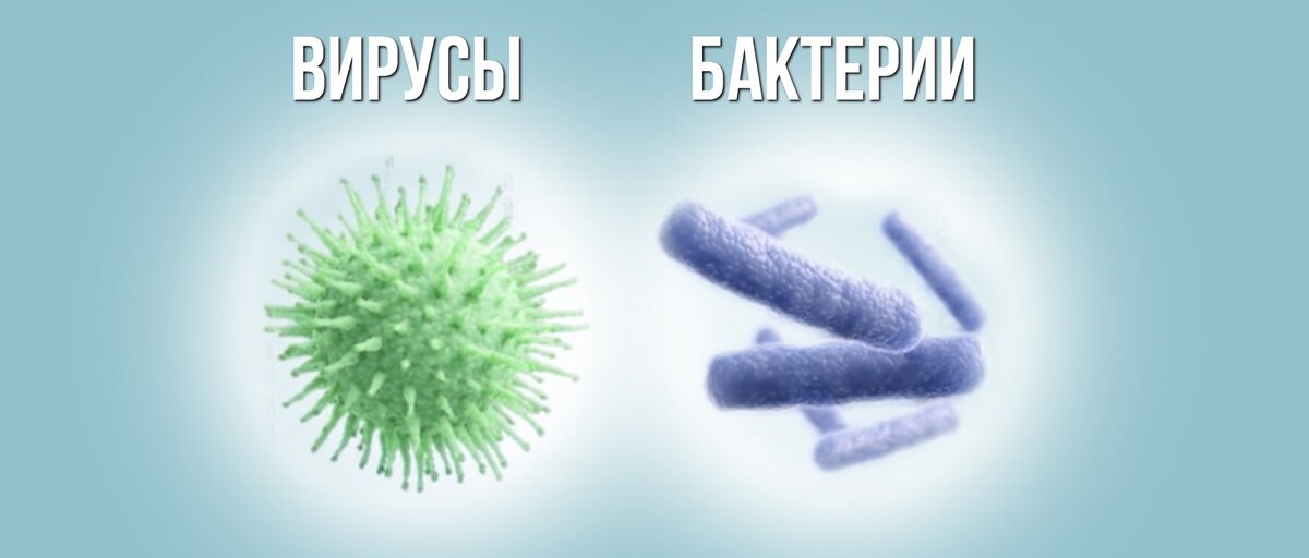 Яндекс-картинки