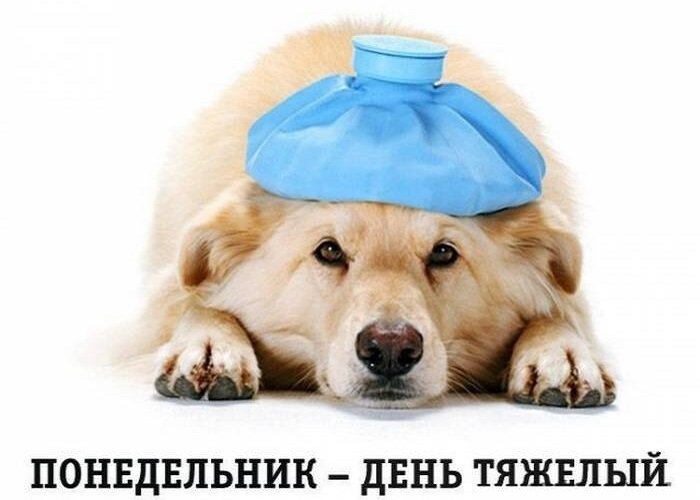 Это знают все!