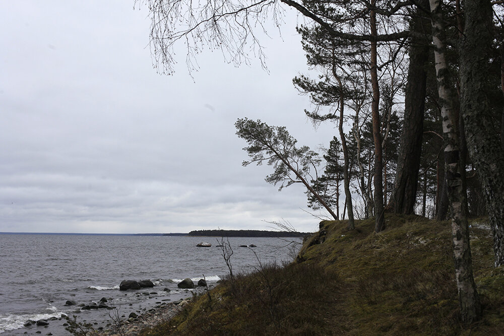 Первый раз я их попробовала в Таллинне. Очень приятно бродить по ледяному берегу и грызть теплые орешки с перцем или корицей.