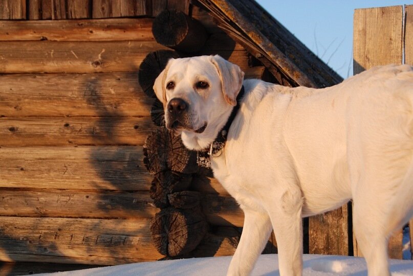 Это чьи тут хоромы?