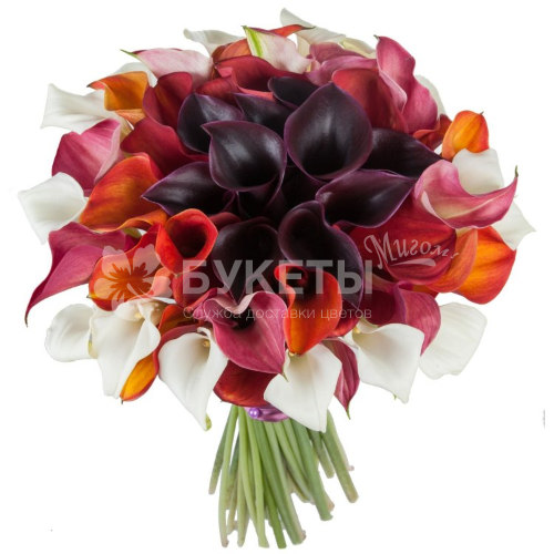 Букет из калл "Свит Мисти"