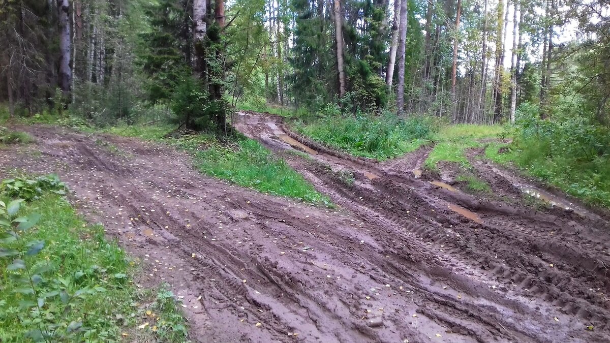 Пеший путь. Фото из личного архива
