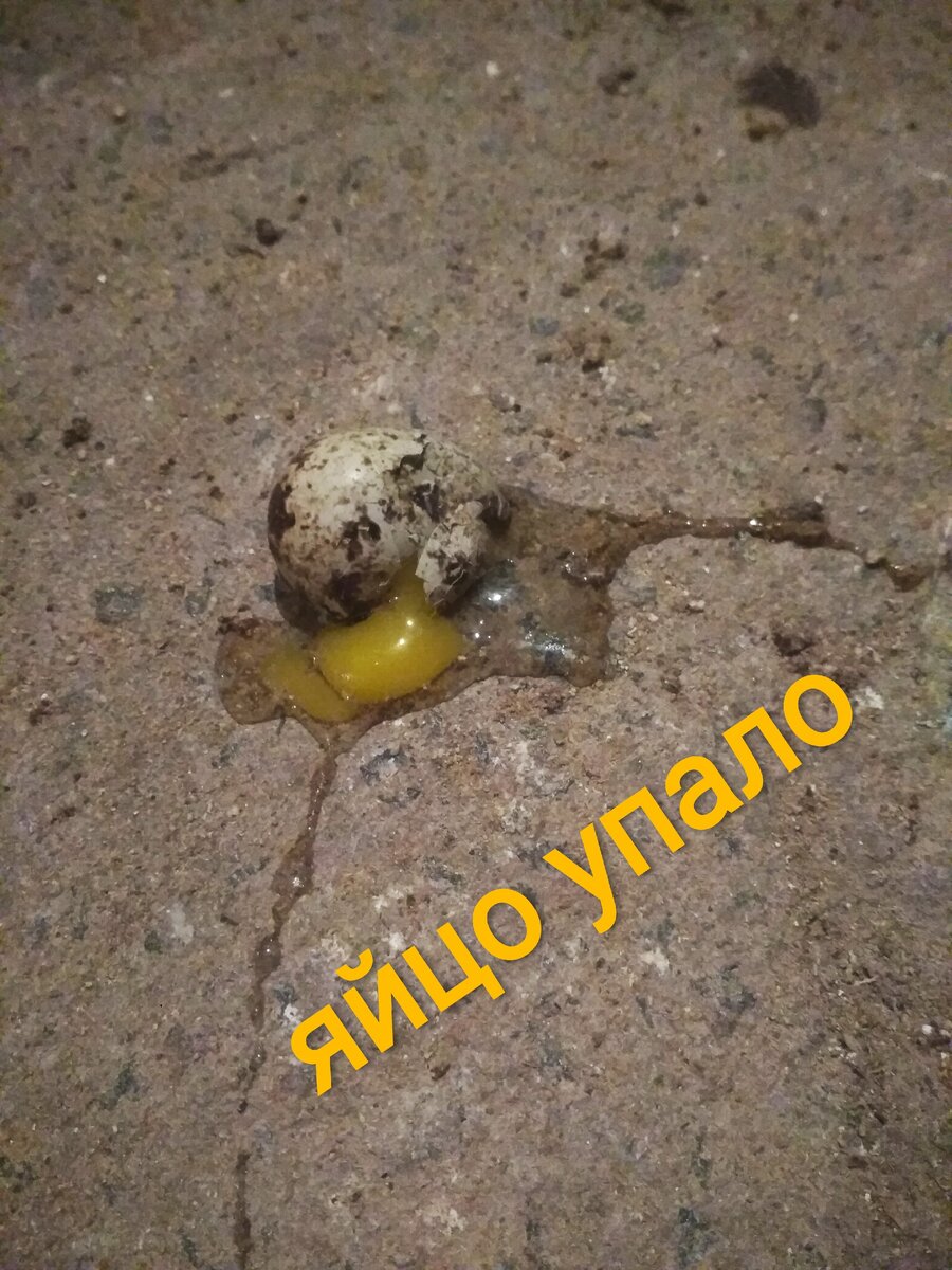 Понимать это стоит не буквально!