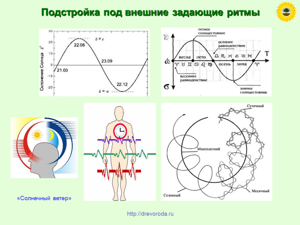 Ритмичность огэ картинка