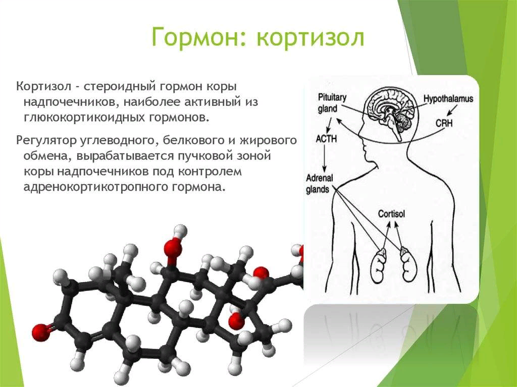 Какой лечить гормоны